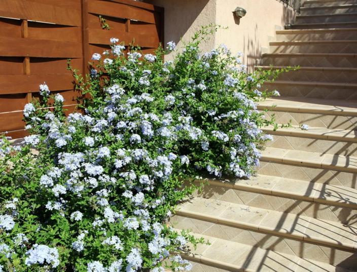 لورداهاتا Provenzo And Meliti Villas المظهر الخارجي الصورة